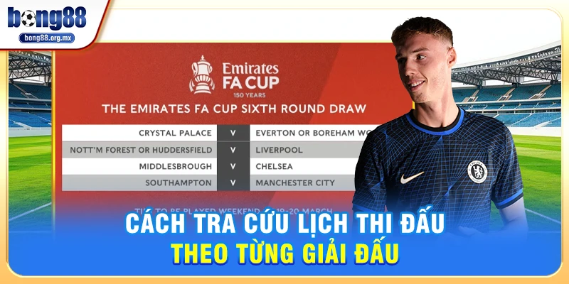 Cập nhật lịch thi đấu Bong88 ngày hôm nayCách tra cứu lịch thi đấu theo từng giải đấu